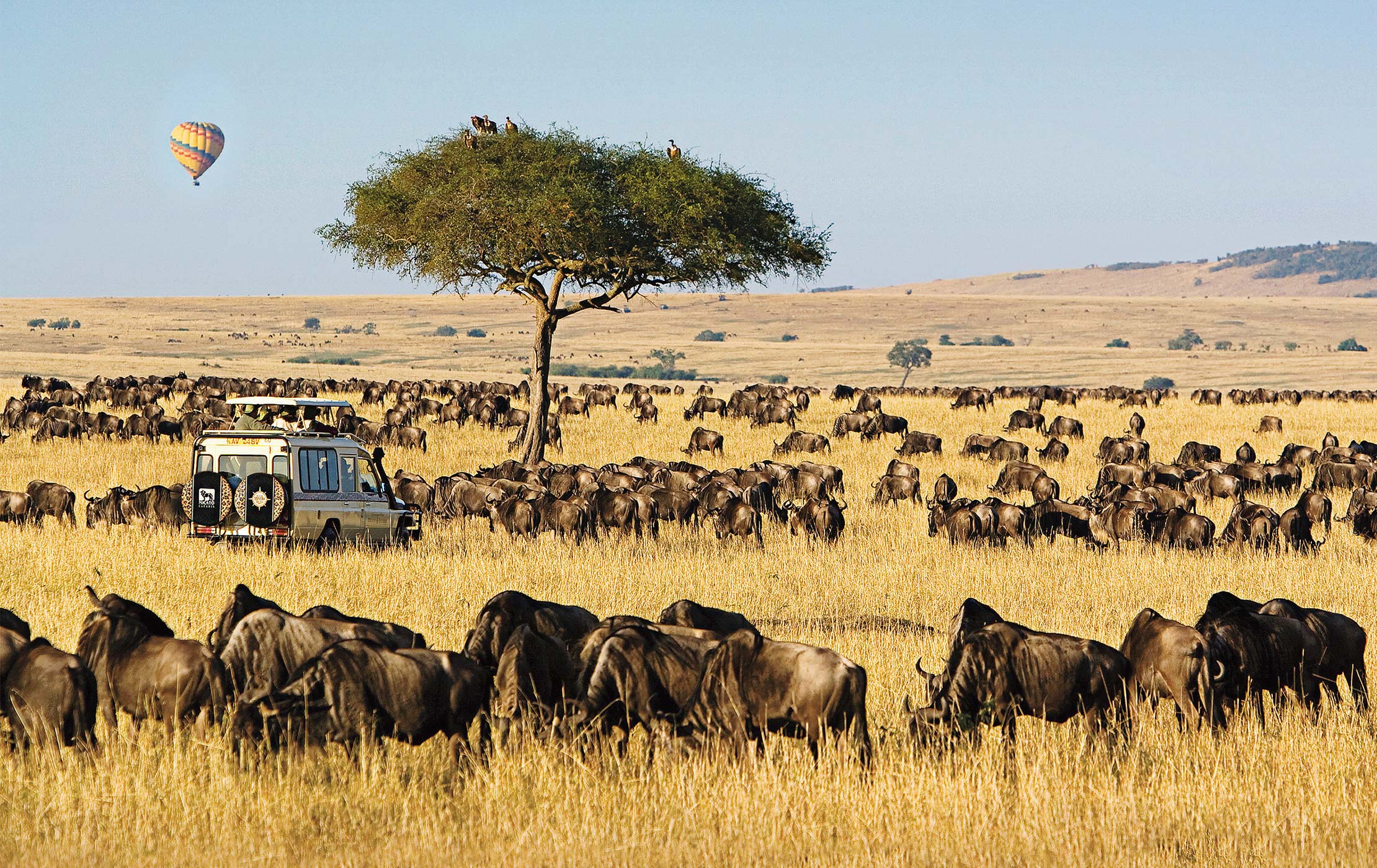 Why July is secretly the best month to visit the Maasai Mara